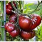 100 PCS Seeds Heirloom Giant Black Krim Tomato Hybrid F2 Vegetables