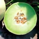 200 PCS Seeds Heirloom Green Crisp Sweet Melon Fruit 200 PCS Seeds Heirloom Green Crisp Sweet Melon Fruit