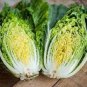 10 PCS Seeds Heirloom Green Yellow Chinese Cabbage Organic