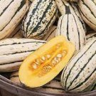 6 PCS Seeds Heirloom Light Yellow Long Sweet Cream Pumpkin Vegetable Organic 6 PCS Seeds Heirloom Light Yellow Long Sweet Cream Pumpkin Vegetable Organic