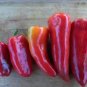 50 PCS Seeds Heirloom Lipstick Long Red Sweet Pepper Organic