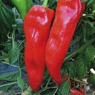 100 PCS Seeds Heirloom Long Giant Ox Horn Sweet Pepper