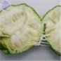 30 PCS Seeds Heirloom Luo Han Guo Siraitia Grosvenorii Fresh