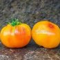25 PCS Seeds Heirloom Milky Bright Red Oval Little Dwarf Tomato