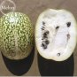 8 PCS Seeds Heirloom Malabar Gourd