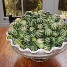 10 PCS Seeds Heirloom Miniature Tennessee Dancing Spinner Gourd Cucurbita Pepo