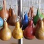10 PCS Seeds Heirloom Miniature Tennessee Dancing Spinner Gourd Cucurbita Pepo