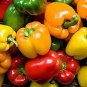 50 PCS Seeds Heirloom Mixed Yellow Green Red Orange Sweet Bell Pepper Organic
