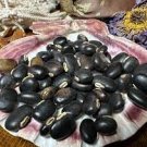 5 PCS Seeds Heirloom Mucuna Pruriens 5 PCS Seeds Heirloom Mucuna Pruriens