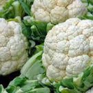 50 PCS Seeds Heirloom Natural Health White Broccoli Cauliflower 50 PCS Seeds Heirloom Natural Health White Broccoli Cauliflower