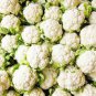 50 PCS Seeds Heirloom Natural Health White Broccoli Cauliflower