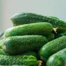 5 PCS Seeds Heirloom Old Cucumber Vegetable Organic 5 PCS Seeds Heirloom Old Cucumber Vegetable Organic