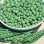 500 PCS Seeds Heirloom Organic Green Arrow Pea Vegetable