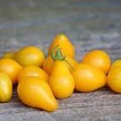 100 PCS Seeds Heirloom Organic Yellow Truss Tomato Middle-sized Fruits Seeds Tasty Juicy Sweet 100 PCS Seeds Heirloom Organic Yellow Truss Tomato Middle-sized Fruits Seeds Tasty Juicy Sweet