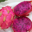 50 PCS Seeds Heirloom Purple Dragon Fruit 50 PCS Seeds Heirloom Purple Dragon Fruit