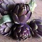4 PCS Seeds Heirloom Purple Headed Artichoke Organic Vegetables