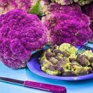 20 PCS Seeds Heirloom Purple Sicily Cauliflower 20 PCS Seeds Heirloom Purple Sicily Cauliflower