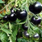 100 PCS Seeds Heirloom Rare Small Black Green Tomato Hybrid F1 Fruits 100 PCS Seeds Heirloom Rare Small Black Green Tomato Hybrid F1 Fruits