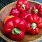 20 PCS Seeds Heirloom Red Long Sharp Sweet Bell Pepper