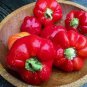 20 PCS Seeds Heirloom Red Long Sharp Sweet Bell Pepper