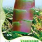 30 PCS Seeds Heirloom Red Skin Asparagus Lettuce Vegetables