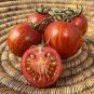 100 PCS Seeds Heirloom Red Zebra Tomato with Golden Stripe Organic