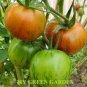 100 PCS Seeds Heirloom Red Zebra Tomato with Golden Stripe Organic