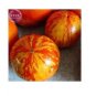 100 PCS Seeds Heirloom Red Zebra Tomato with Golden Stripe Organic