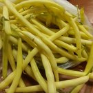 15 PCS Seeds Heirloom Roma I Yellow Bean 15 PCS Seeds Heirloom Roma I Yellow Bean