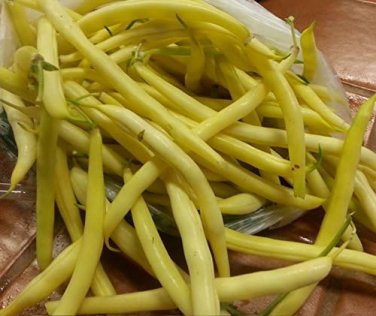 15 PCS Seeds Heirloom Roma I Yellow Bean