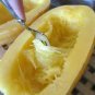 30 PCS Seeds Heirloom Spaghetti Squash Vegetable