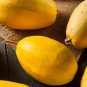 30 PCS Seeds Heirloom Spaghetti Squash Vegetable