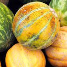 10 PCS Seeds Heirloom Super Big Elizabeth Orange Yellow Sweet Melon Hybrid