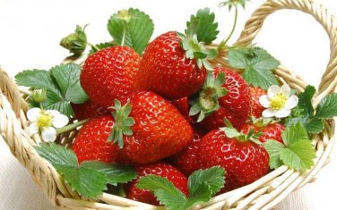 600 PCS Seeds Heirloom Super Giant Japan Red Strawberry Organic