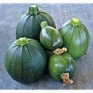 10 PCS Seeds Heirloom Tatume Summer Squash Vegetables Organic