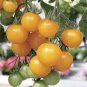 100 PCS Seeds Heirloom Tumbling Tom Yellow Cherry Tomato