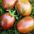 50 PCS Seeds Heirloom Ukraine Kibits Tomato 50 PCS Seeds Heirloom Ukraine Kibits Tomato