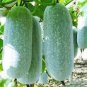 12 PCS Seeds Heirloom White Wax Gourd Vegetables
