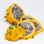 50 PCS Seeds Heirloom Yellow Dragon Fruit Hybrid Pitaya