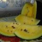 10 PCS Seeds Heirloom Yellow Flesh Janosik Watermelon