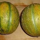 200 PCS Seeds Heirloom Yellow Green Sticky Sweet Melon