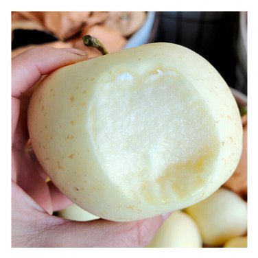 10 PCS Seeds High yield Big White Sweet Apple