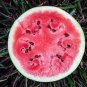 20 PCS Seeds High Yields Legacy Long Red Watermelon
