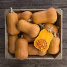 10 PCS Seeds Honeynut Squash Butternut Vegetable 10 PCS Seeds Honeynut Squash Butternut Vegetable