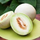 20 PCS Seeds Honeydew Sweet Melon 20 PCS Seeds Honeydew Sweet Melon