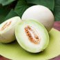 20 PCS Seeds Honeydew Sweet Melon