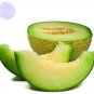 20 PCS Seeds Honeydew Sweet Melon