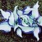 200 PCS Seeds Hosta Bonsai Perennials Plantain Beautiful Lily Flower White