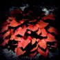 200 PCS Seeds Hosta Seed Perennials Rose Red Leaves with White Edge