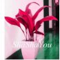 200 PCS Seeds Hosta Seeds 2 Colors Available